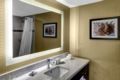 Doubletree by Hilton Dallas DFW South Arlington ホテルの詳細