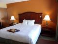 Hampton Inn & Suites Bolingbrook ホテルの詳細
