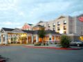 Hilton Garden Inn Anchorage Hotel ホテルの詳細