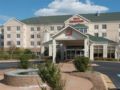 Hilton Garden Inn Auburn Opelika ホテルの詳細