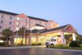 Hilton Garden Inn Baton Rouge Airport ホテルの詳細