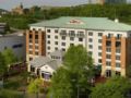 Hilton Garden Inn Chattanooga Downtown Hotel ホテルの詳細