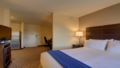 Holiday Inn Express & Suites Alpharetta ホテルの詳細