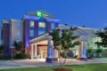 Holiday Inn Express & Suites Baton Rouge East ホテルの詳細