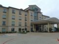 Holiday Inn Express & Suites Garland SW - NE Dallas Area ホテルの詳細