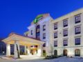 Holiday Inn Express Hotel & Suites Dallas/Stemmons Fwy(I-35) ホテルの詳細