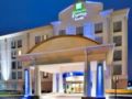 Holiday Inn Express Hotel & Suites Fredericksburg ホテルの詳細