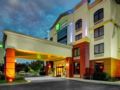 Holiday Inn Express Richmond Airport ホテルの詳細