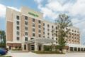 Holiday Inn Hotel and Suites Shenandoah-The Woodlands ホテルの詳細