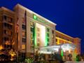 Holiday Inn Hotel & Suites Orange Park ホテルの詳細