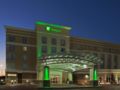 Holiday Inn Meridian East I 59 / I 20 ホテルの詳細