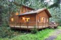 Mt Baker Rim Cabin #64 - Newer 2 bedroom cabin ホテルの詳細