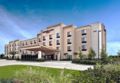 SpringHill Suites Baton Rouge North/Airport ホテルの詳細