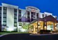 SpringHill Suites Chicago Southwest at Burr Ridge/Hinsdale ホテルの詳細