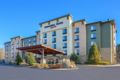 SpringHill Suites Pigeon Forge ホテルの詳細