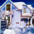 The Snow Queen Lodge and Cooper Street Lofts ホテルの詳細