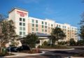 TownePlace Suites Orlando at Flamingo Crossings/Western Entrance ホテルの詳細