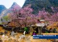 Ha Giang Paradise Hostel & Tours ホテルの詳細