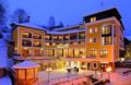 Hotel Saalbacher Hof ホテルの詳細