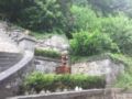 B&B Le Manoir Ivoire ホテルの詳細