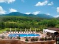 Premier Luxury Mountain Resort ホテルの詳細
