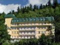 Spa hotel Vltava ホテルの詳細