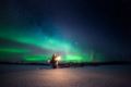 Lapland Northern Lights hotel Ilveslinna Ranua ホテルの詳細