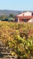 Gîte Au Milieu des Vignes ホテルの詳細