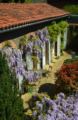 Gîte Wistéria ホテルの詳細