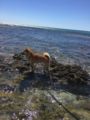 Sous les pins parasols aux Salins St Tropez ホテルの詳細