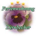 Ferienwohnung Dernbecher ホテルの詳細