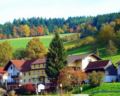 Hotel Gasthof Zur Krone Odenwald-Sterne-Hotel ホテルの詳細