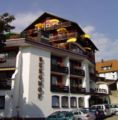 Panoramahotel Berghof ホテルの詳細