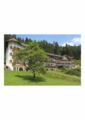 Wellnesshotel Basler Hof am Schlosswald ホテルの詳細