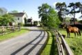 Bracklin Country House and Stables ホテルの詳細