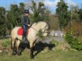 Letterfrack Farm Lodge ホテルの詳細