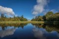 Lough Rynn Castle ホテルの詳細