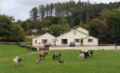 Muckross Riding Stables ホテルの詳細