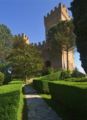 Castello Di Proceno Albergo Diffuso In Dimora D'Epoca ホテルの詳細