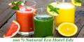 Eco-Hotel Edy ホテルの詳細