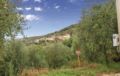 Holiday home Frazione Pieve ホテルの詳細