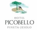 Hotel Picobello ホテルの詳細