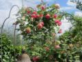 Locanda le Boscarecce ホテルの詳細