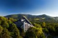 Hotel Jaskółka ホテルの詳細
