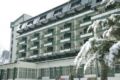 Hotel Bradul ホテルの詳細