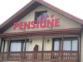 Pensiunea Casina ホテルの詳細