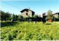 Casa Rural La Vall del Cadi ホテルの詳細