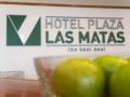 Hotel Plaza Las Matas ホテルの詳細