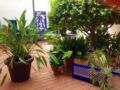 Hotel Sant Jaume ホテルの詳細