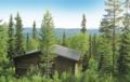 Holiday home Vamstigen Vemdalen ホテルの詳細